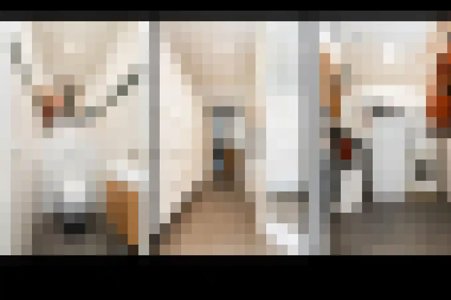 Hoek 7 Meeuwen thumbnail 14