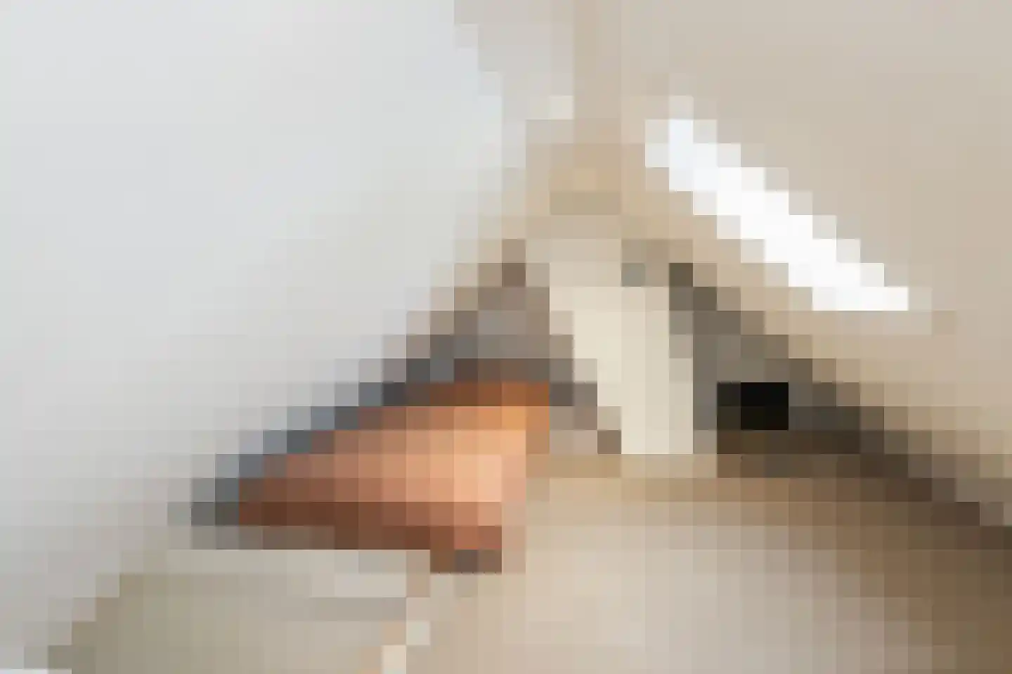 Hoek 7 Meeuwen thumbnail 20