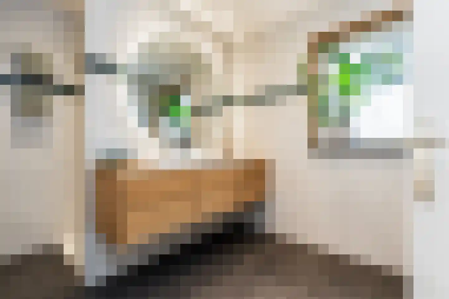 Hoek 7 Meeuwen thumbnail 25