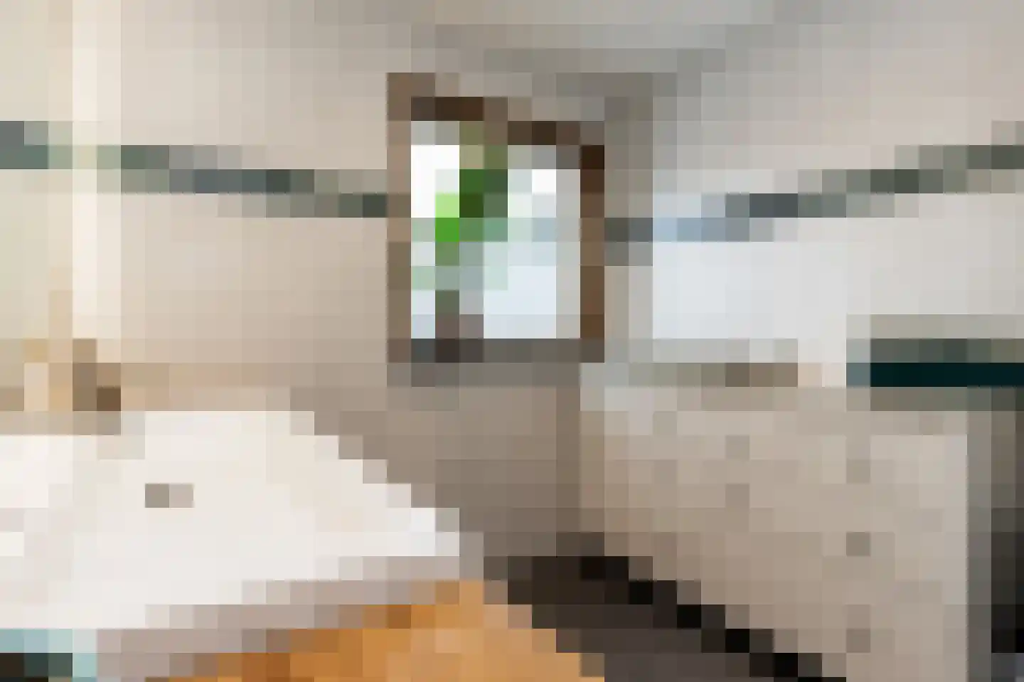 Hoek 7 Meeuwen thumbnail 26