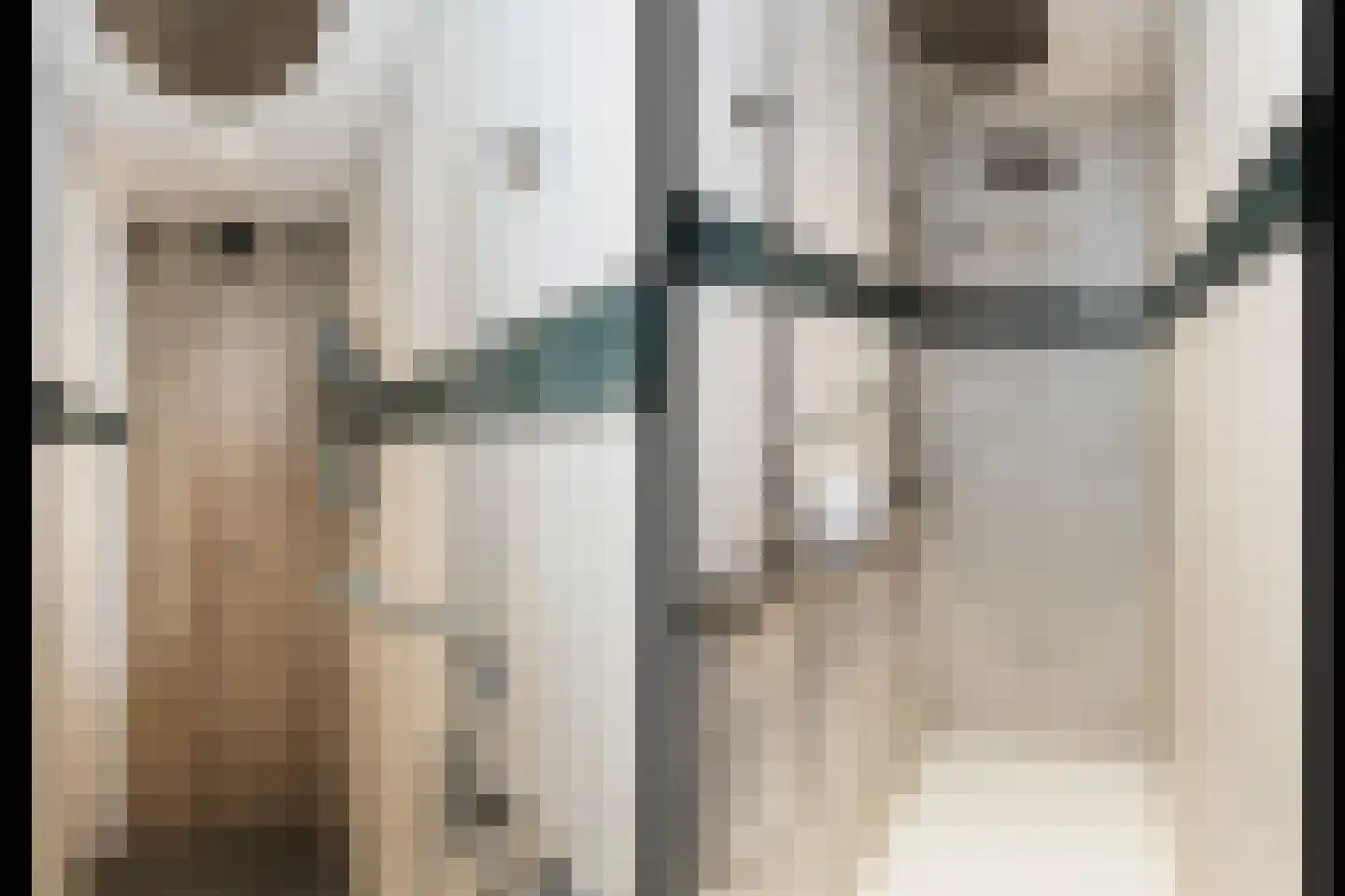 Hoek 7 Meeuwen thumbnail 27