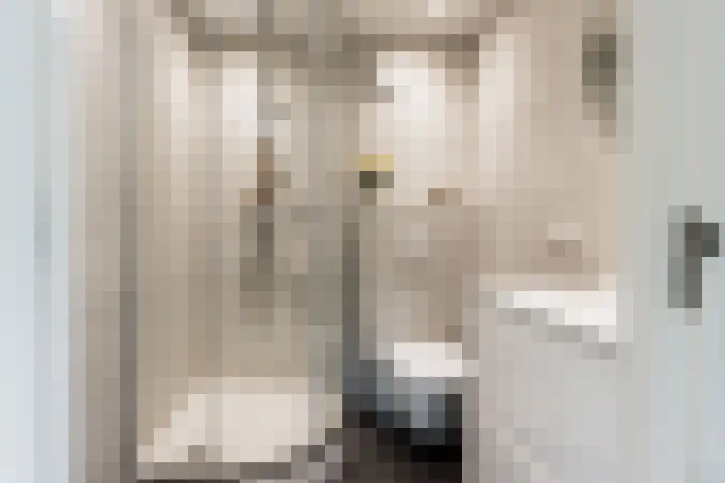Hoek 7 Meeuwen thumbnail 33