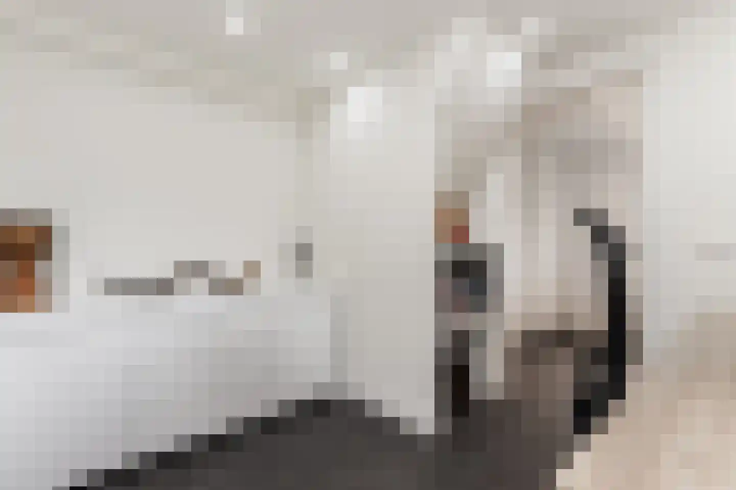 Hoek 7 Meeuwen thumbnail 36