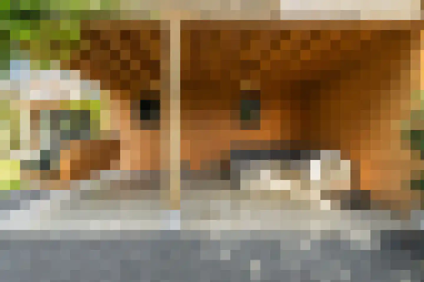 Hoek 7 Meeuwen thumbnail 41