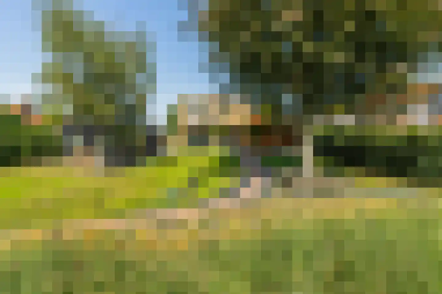 Hoek 7 Meeuwen thumbnail 44