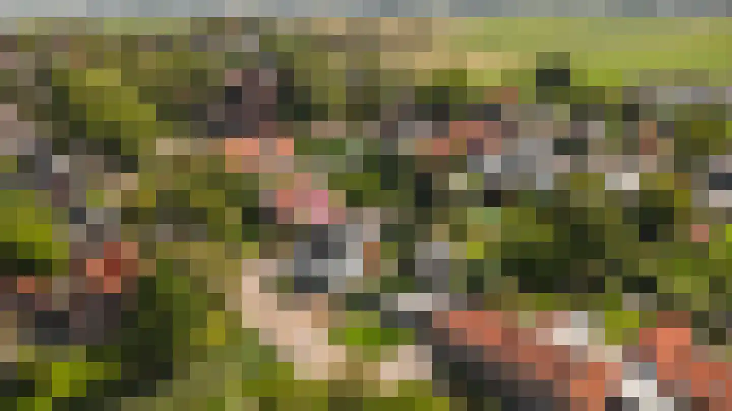 Hoek 7 Meeuwen thumbnail 46
