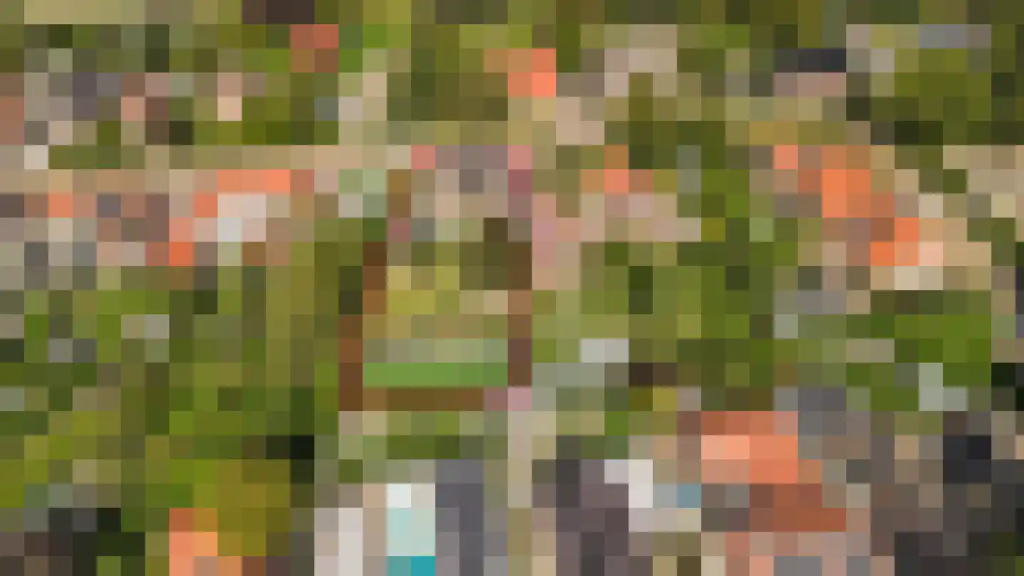 Hoek 7 Meeuwen thumbnail 47