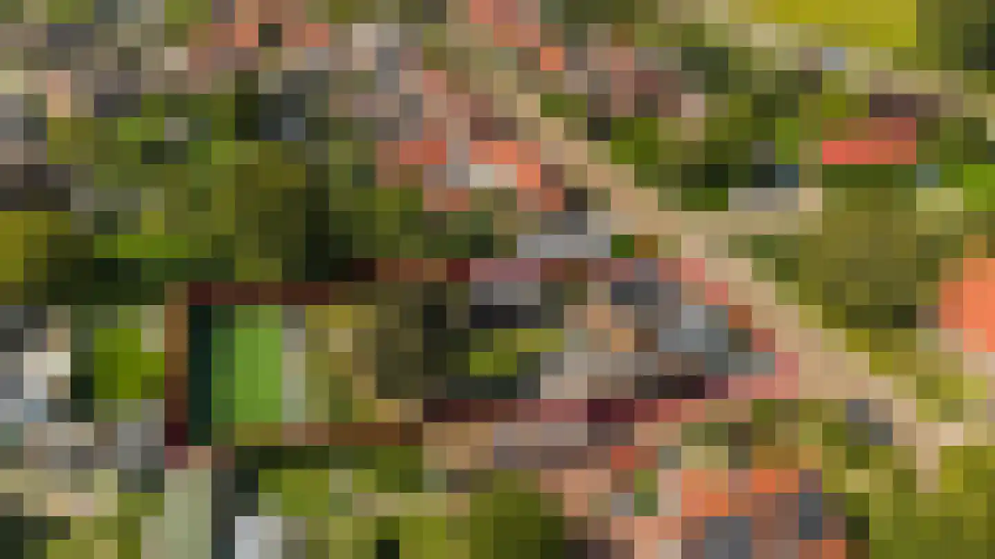 Hoek 7 Meeuwen thumbnail 48