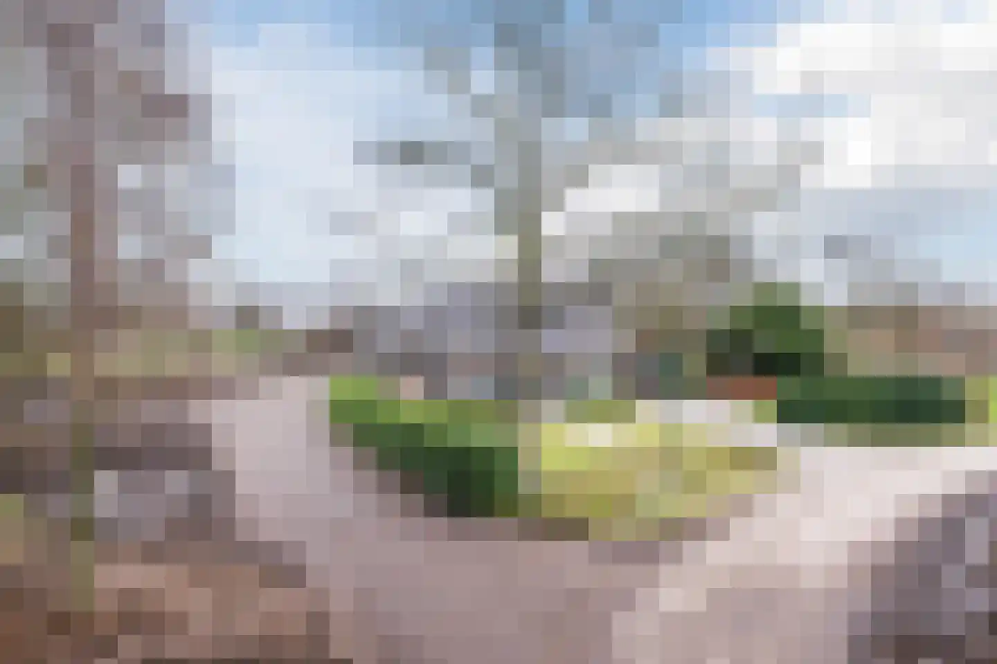 Hoek 8 Duizel thumbnail 4