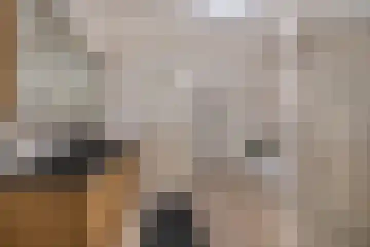 Hoek 9 Den Dungen thumbnail 11