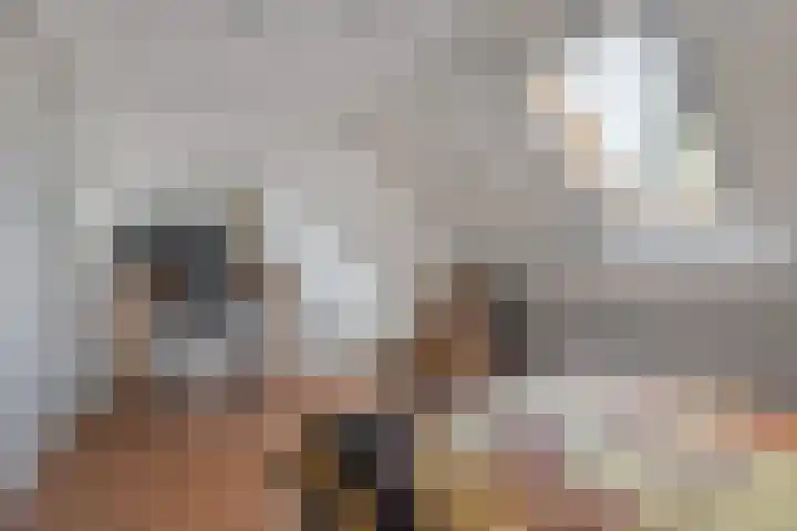 Hoek 9 Den Dungen thumbnail 20