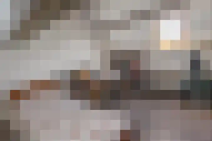 Hoek 9 Den Dungen thumbnail 24