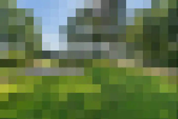 Hoek 9 Den Dungen thumbnail 34