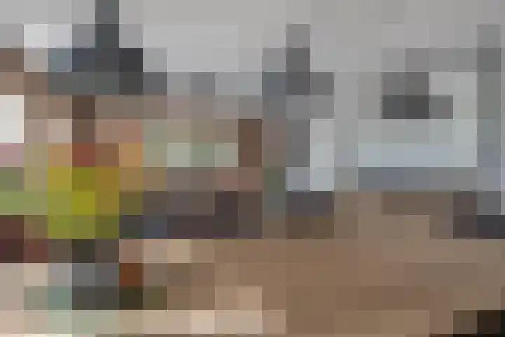 Hoek 9 Den Dungen thumbnail 6