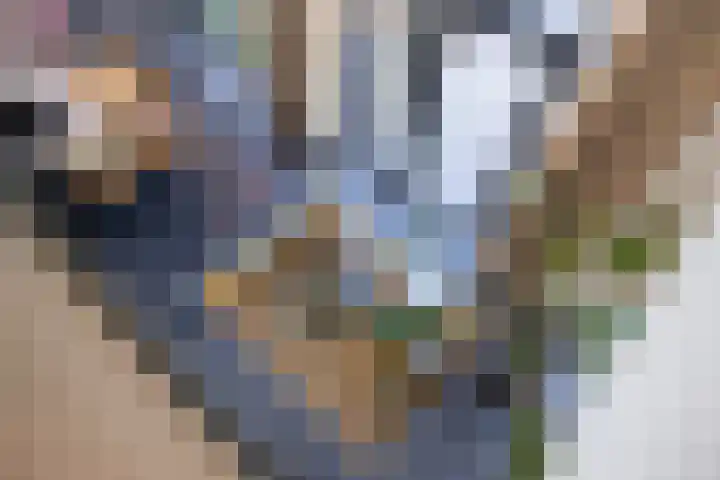 Hoek 9 Duizel foto 2