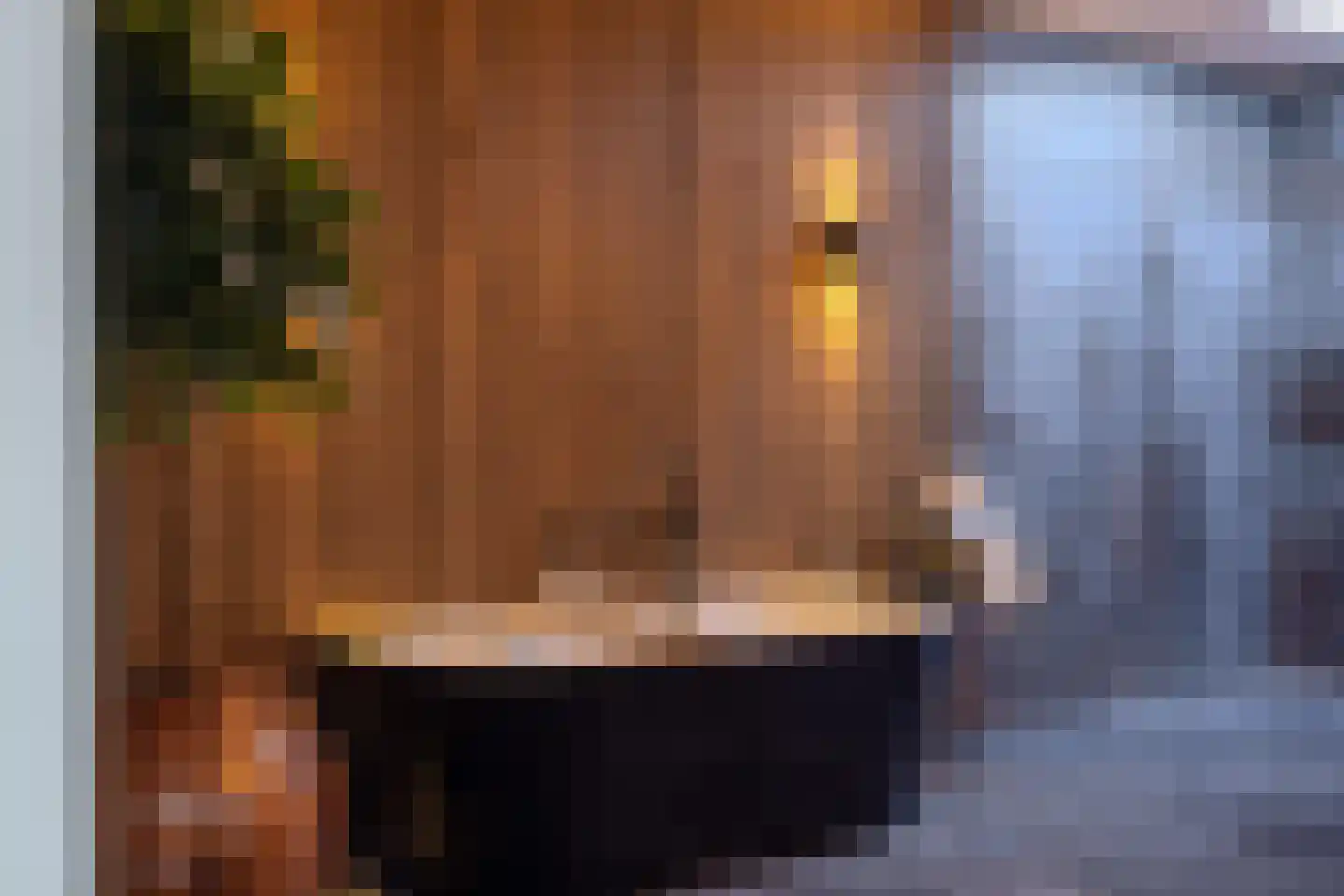 Hoek 9 Duizel thumbnail 32