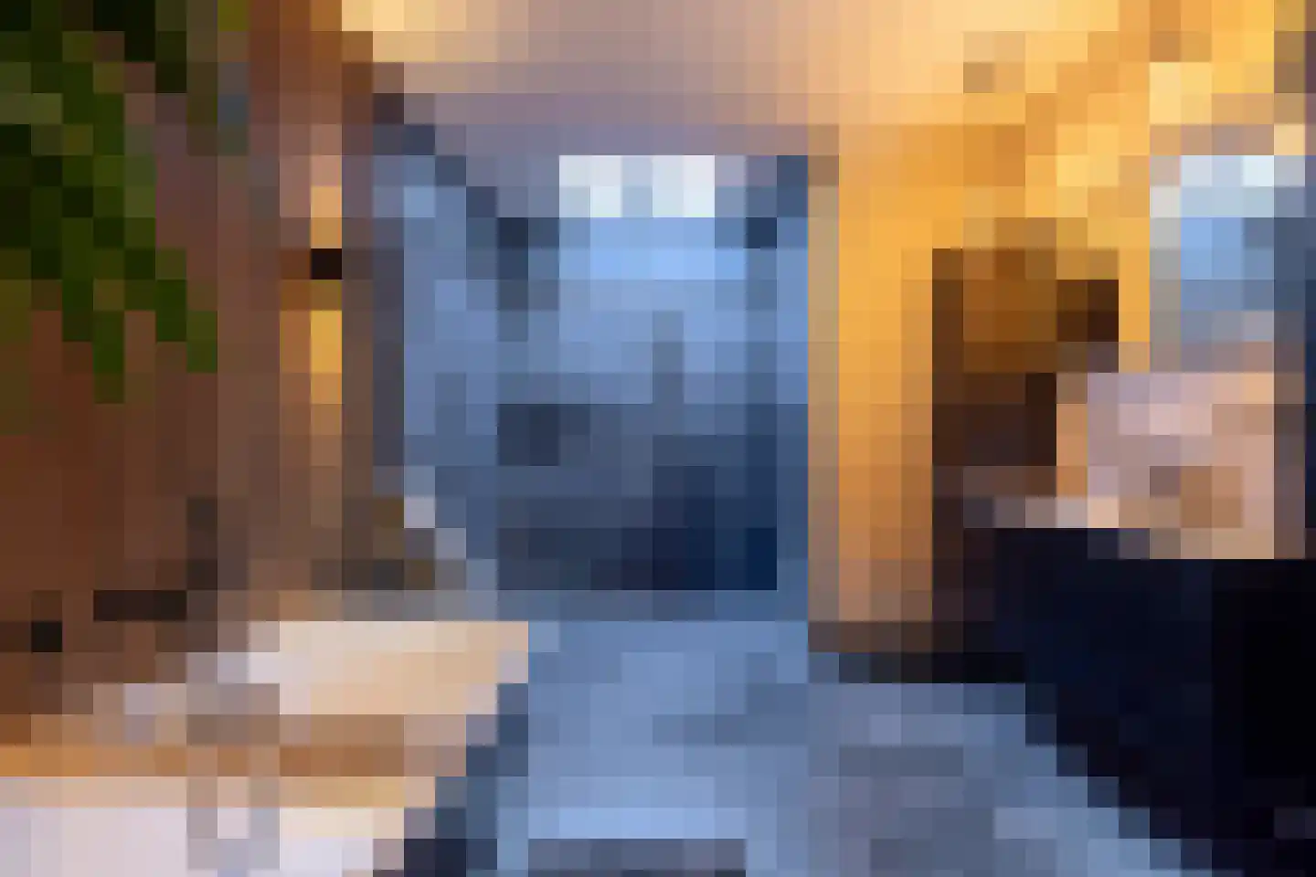 Hoek 9 Duizel thumbnail 33