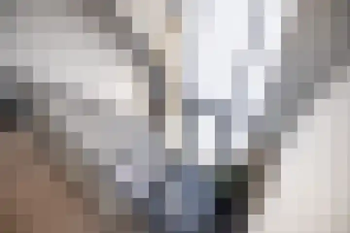 Hoek 9 Duizel thumbnail 36