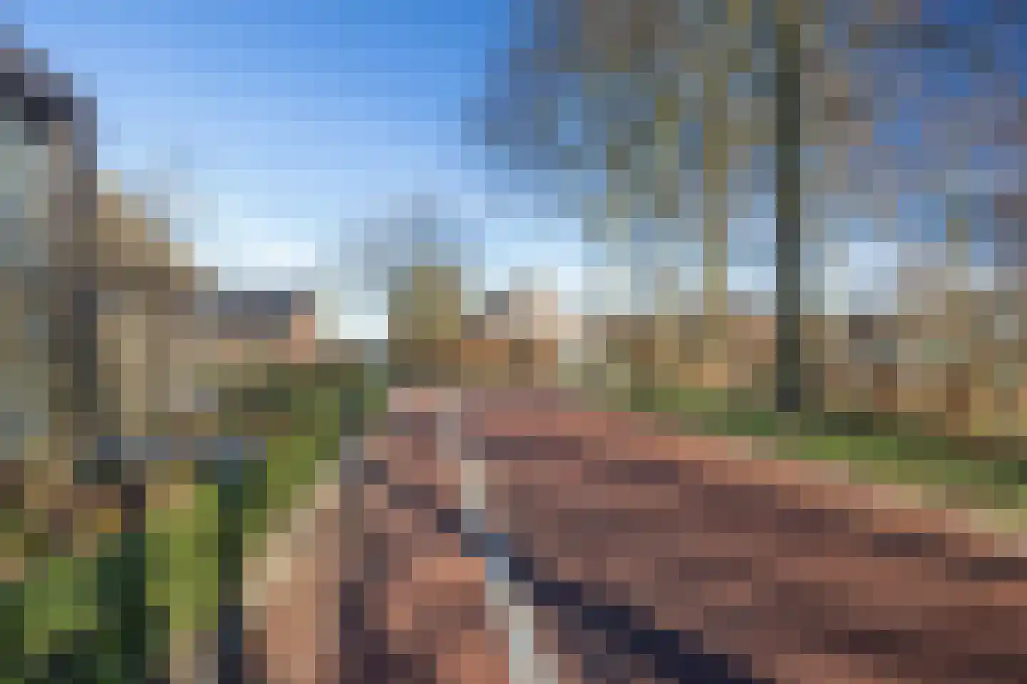 Hoek 9 Duizel thumbnail 56