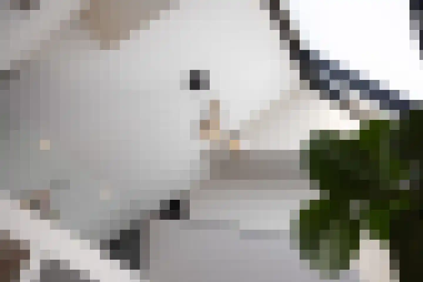 Hoek 9 Duizel thumbnail 9