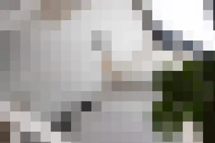 Hoek 9 Duizel thumbnail 9