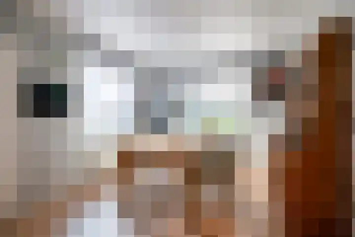 Hoek en Bosch 8 Kloosterzande thumbnail 20