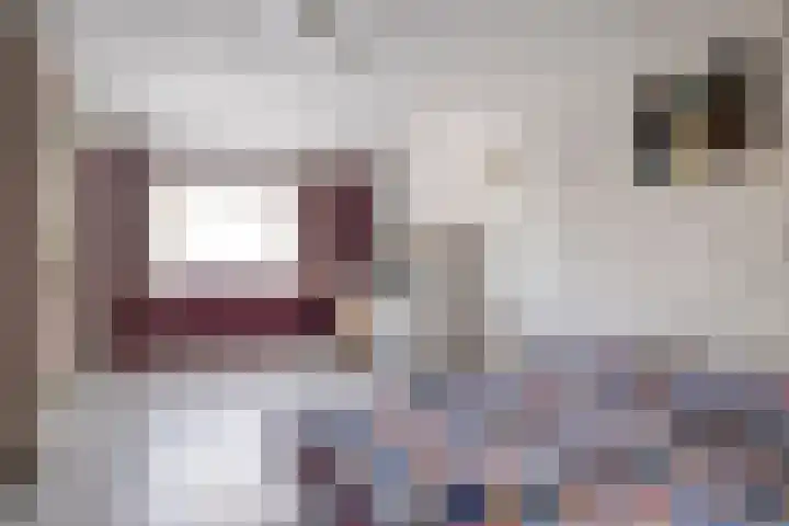 Hoek en Bosch 8 Kloosterzande thumbnail 31