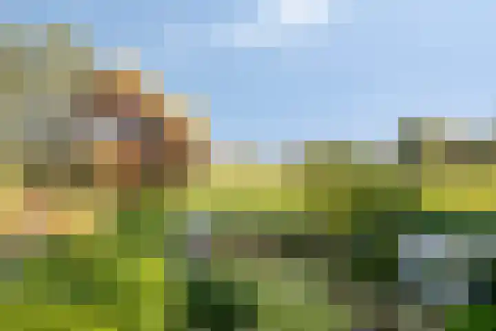 Hoek en Bosch 8 Kloosterzande thumbnail 32
