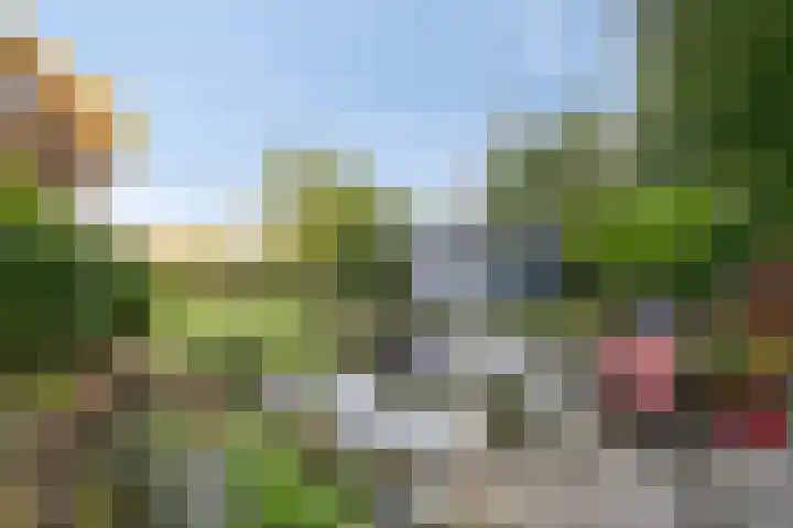 Hoek en Bosch 8 Kloosterzande thumbnail 33