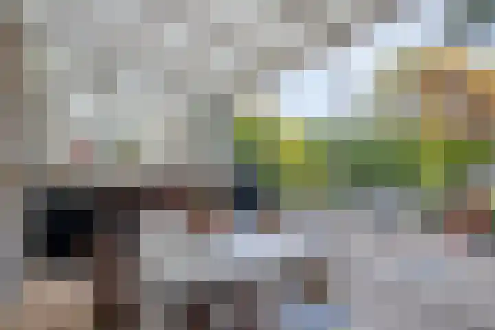 Hoek en Bosch 8 Kloosterzande thumbnail 34