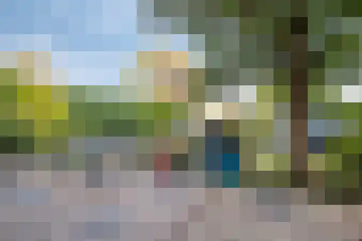 Hoek en Bosch 8 Kloosterzande thumbnail 35