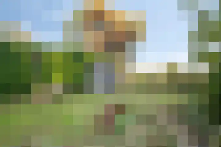 Hoek en Bosch 8 Kloosterzande thumbnail 37