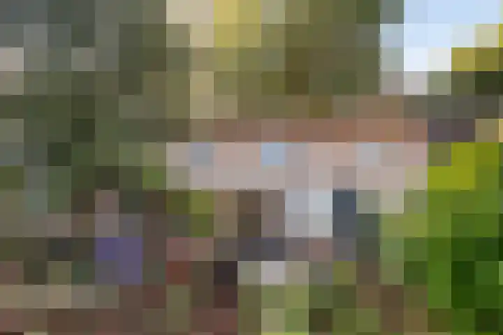 Hoek en Bosch 8 Kloosterzande thumbnail 38