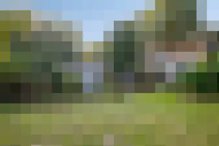 Hoek en Bosch 8 Kloosterzande thumbnail 39