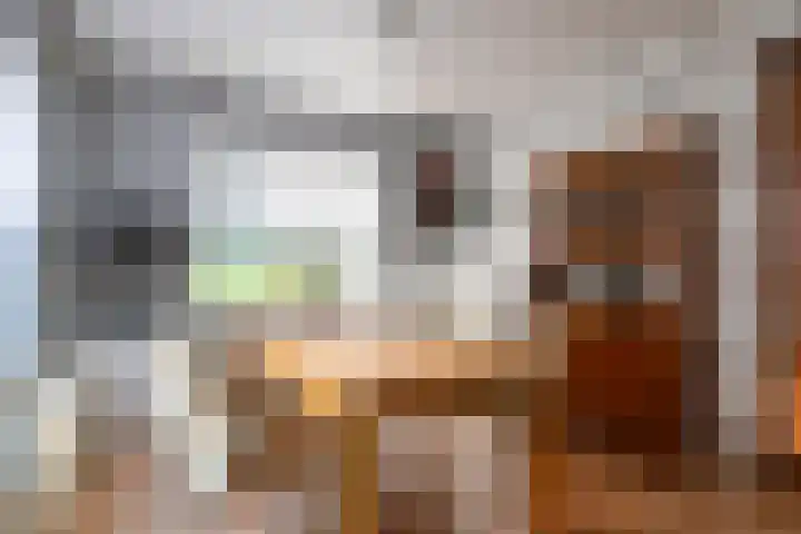 Hoek en Bosch 8 Kloosterzande thumbnail 4