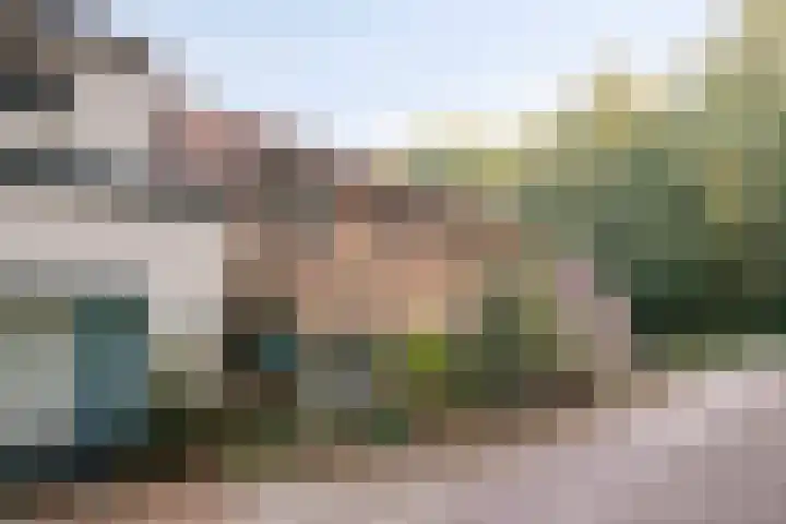 Hoek en Bosch 8 Kloosterzande thumbnail 40