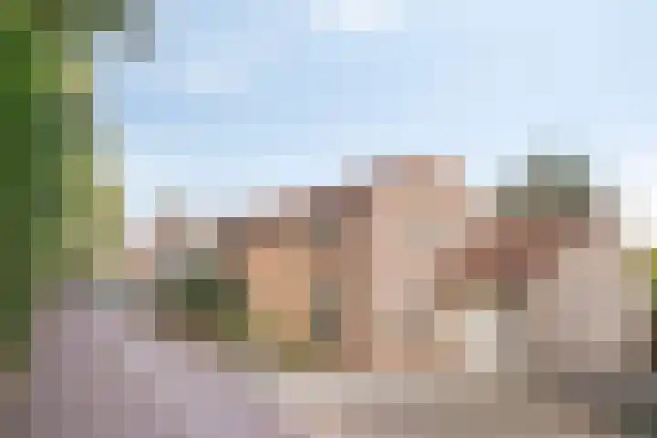 Hoek en Bosch 8 Kloosterzande thumbnail 41