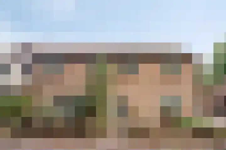 Hoek en Bosch 8 Kloosterzande thumbnail 7