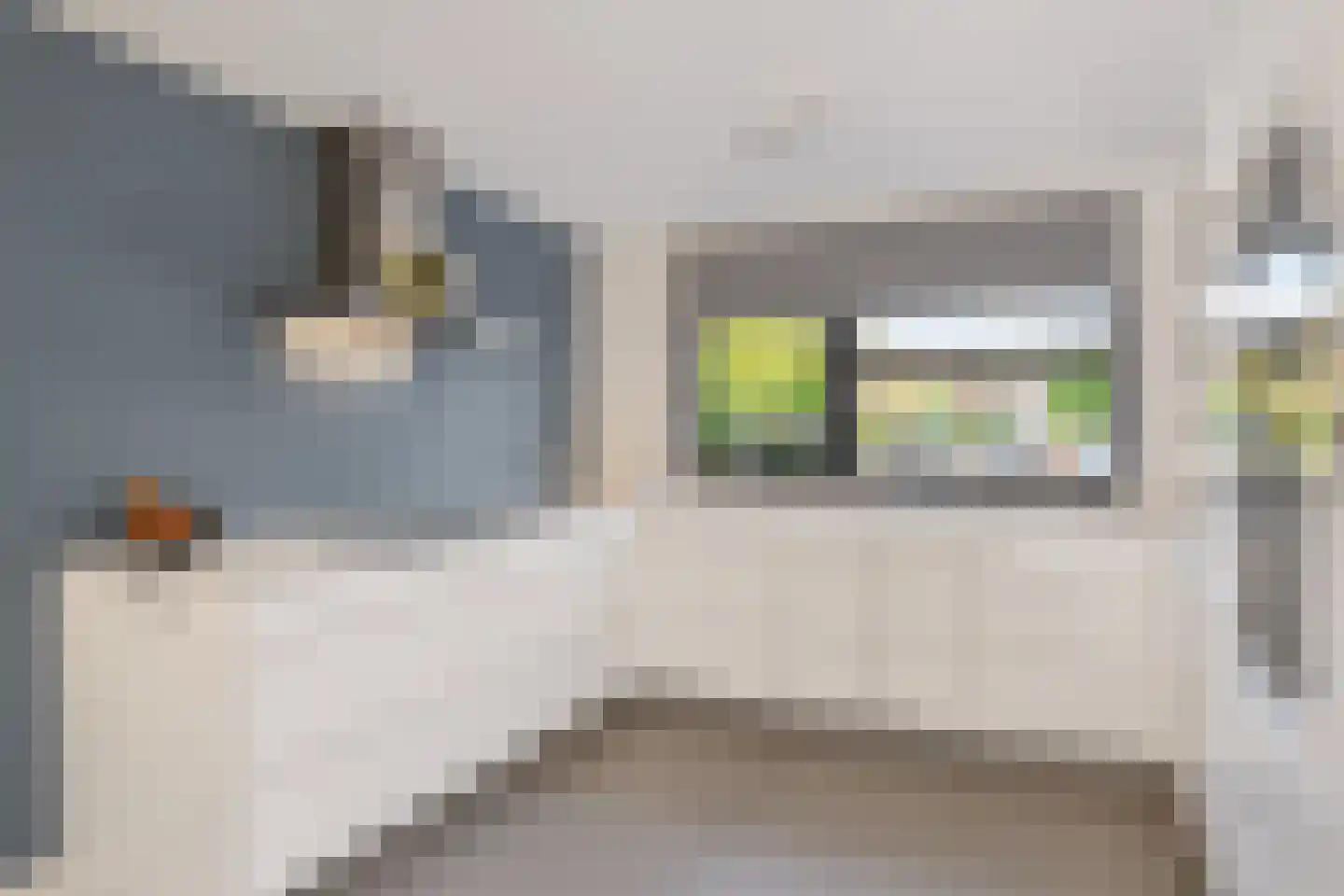 Hoek en Vaarthof 14 Santpoort-Zuid thumbnail 19