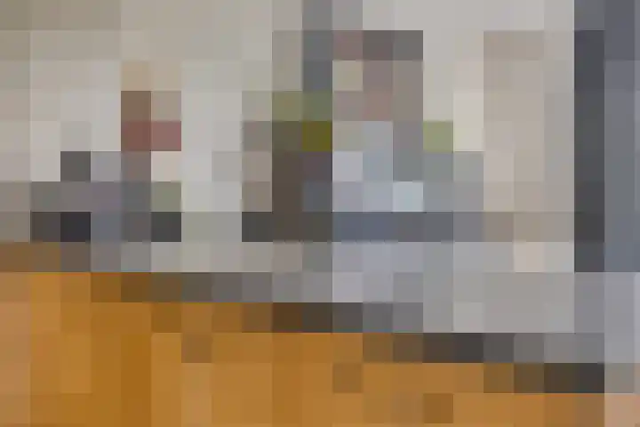 Hoek van de Dijk 15 Zaamslag thumbnail 10