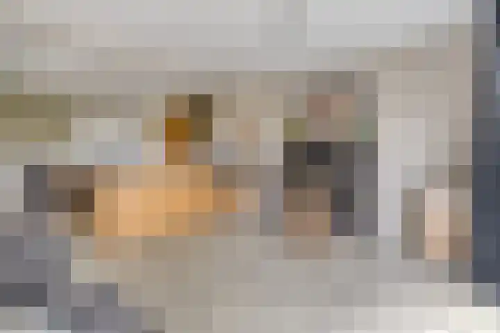 Hoek van de Dijk 15 Zaamslag thumbnail 11