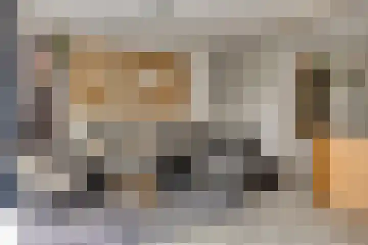 Hoek van de Dijk 15 Zaamslag thumbnail 12