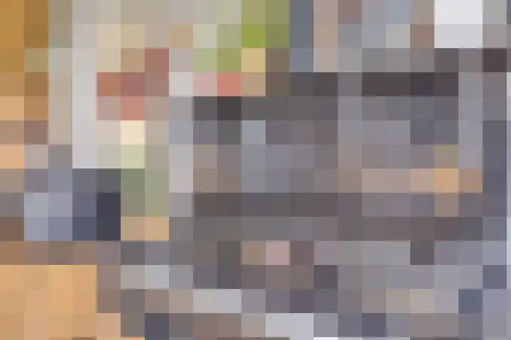 Hoek van de Dijk 15 Zaamslag thumbnail 13