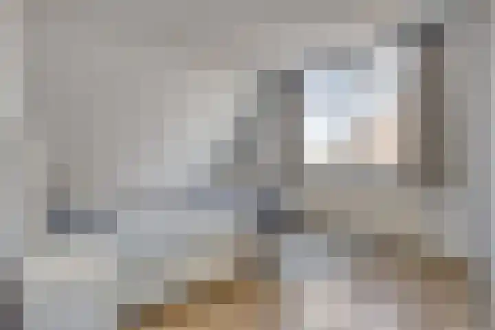 Hoek van de Dijk 15 Zaamslag thumbnail 15