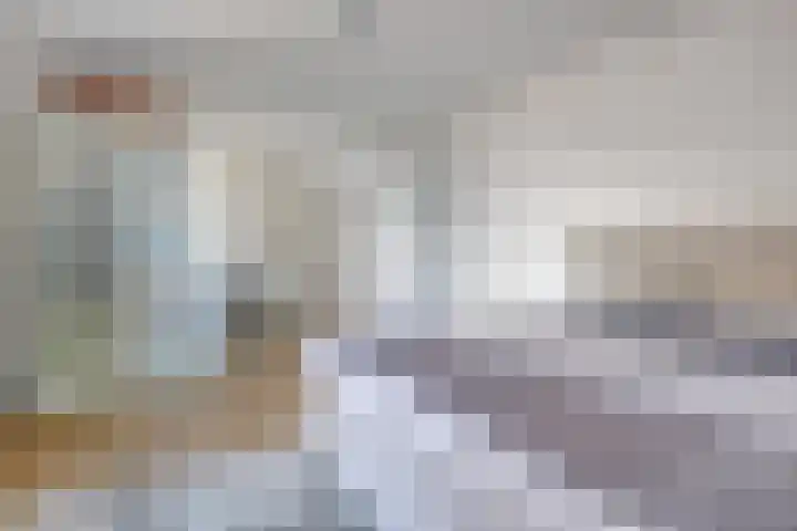 Hoek van de Dijk 15 Zaamslag thumbnail 16