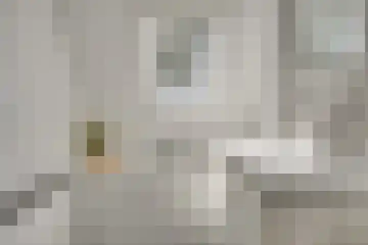 Hoek van de Dijk 15 Zaamslag thumbnail 18