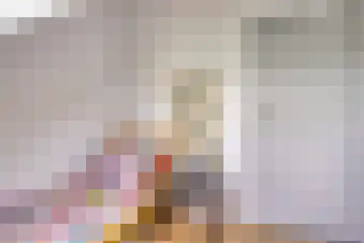 Hoek van de Dijk 15 Zaamslag thumbnail 23