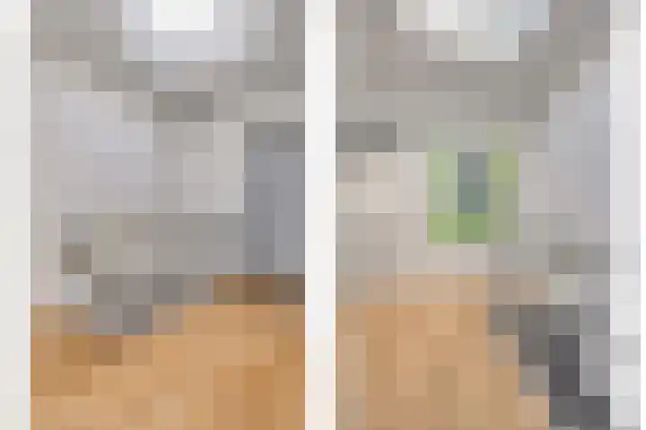 Hoek van de Dijk 15 Zaamslag thumbnail 24