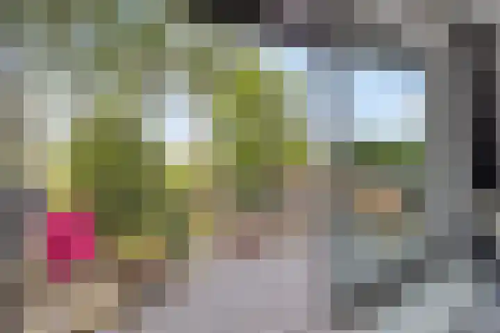 Hoek van de Dijk 15 Zaamslag thumbnail 25