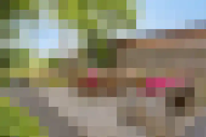 Hoek van de Dijk 15 Zaamslag thumbnail 26